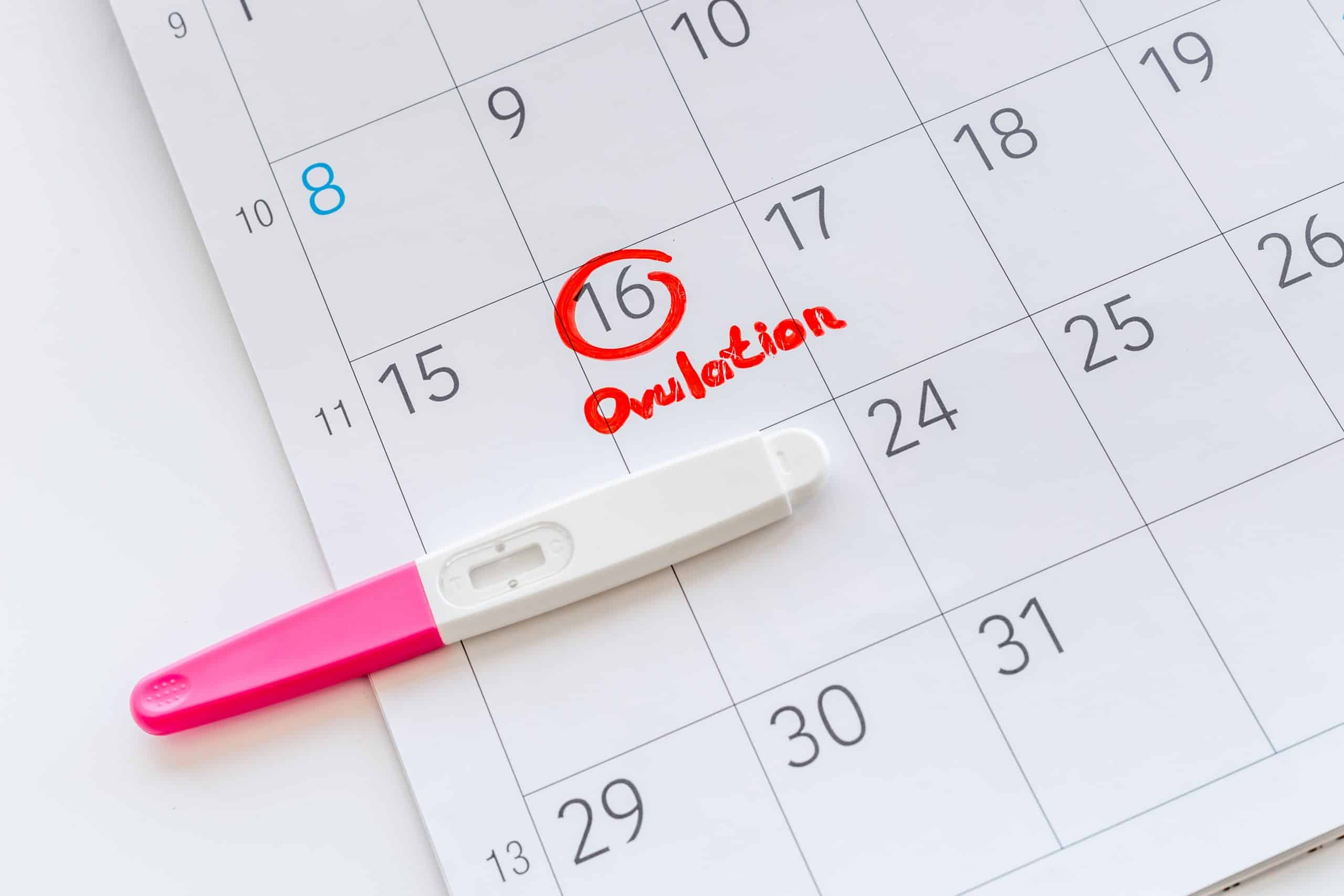 woman calculating her ovulation days mobile