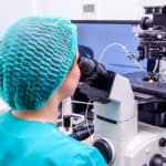 embryologist adding sperm egg laboratory reproductive