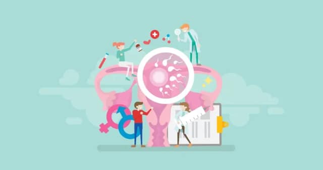 Illustration of the IVF process with reproductive organs, sperm and medical support