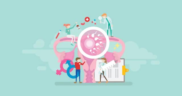 Illustration of the IVF process with reproductive organs, sperm and medical support