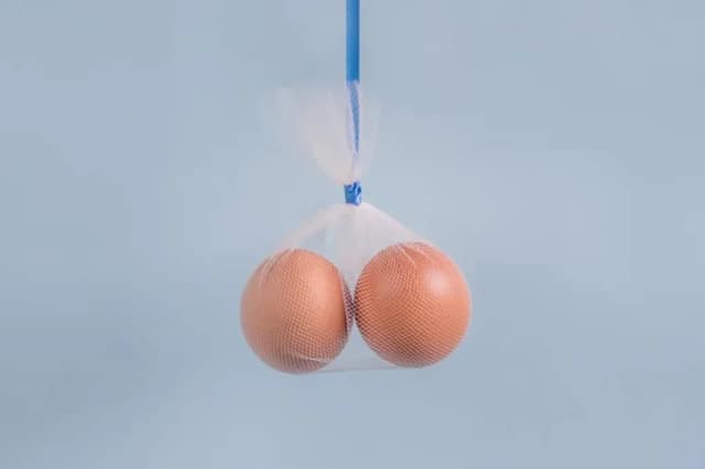 Vasectomy concept represented by two eggs in a net bag