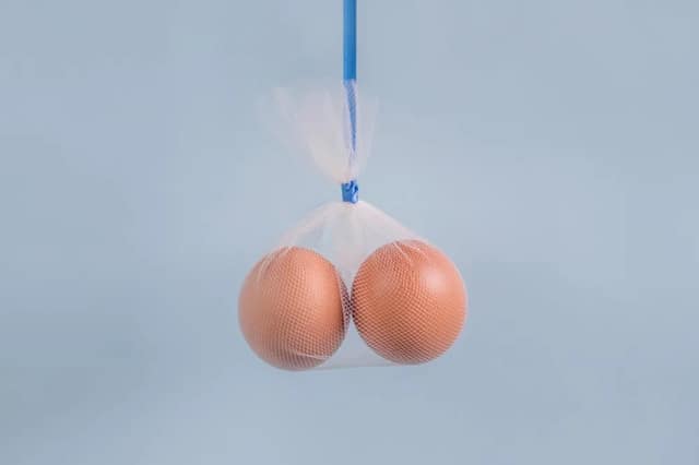 Vasectomy concept represented by two eggs in a net bag