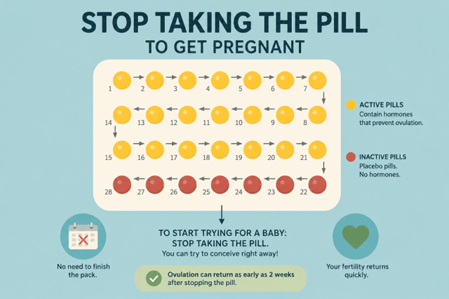 stop taking the pill to get pregnant infographic explaining how fertility and ovulation return after stopping birth control pills