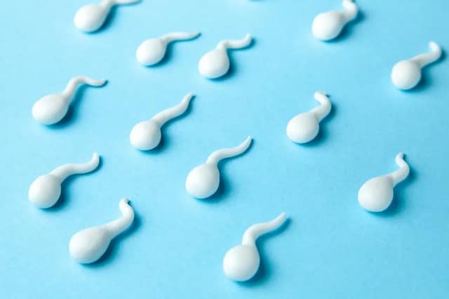 sperm count with multiple sperm cells on blue background representing male fertility levels