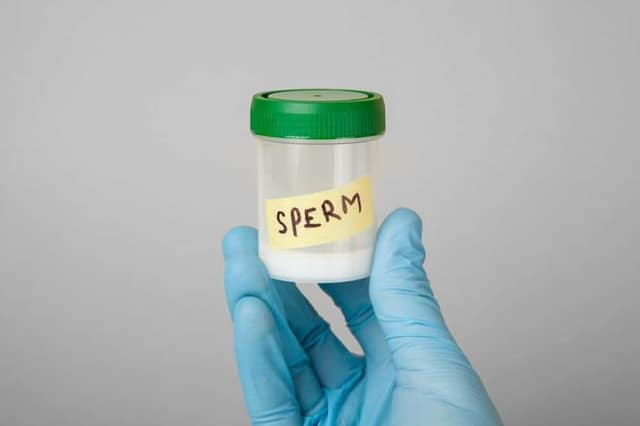 Becoming a sperm donor concept with doctor holding sperm sample container for medical analysis