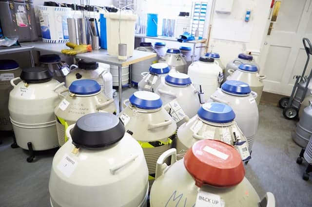 frozen storage sperm bank