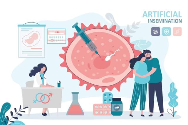 IUI vs IVF illustration showing artificial insemination process with egg, sperm, and medical procedure