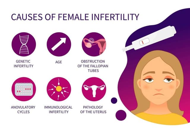 female infertility causes illustration showing reproductive system and common conditions affecting fertility in women