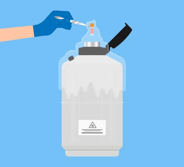 Egg freezing process with a sample being placed into cryogenic storage