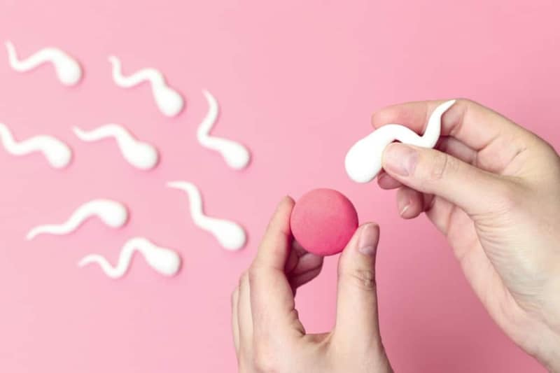 Hands holding symbolic egg and sperm shapes on pink background illustrating self insemination concept for conceiving child at home
