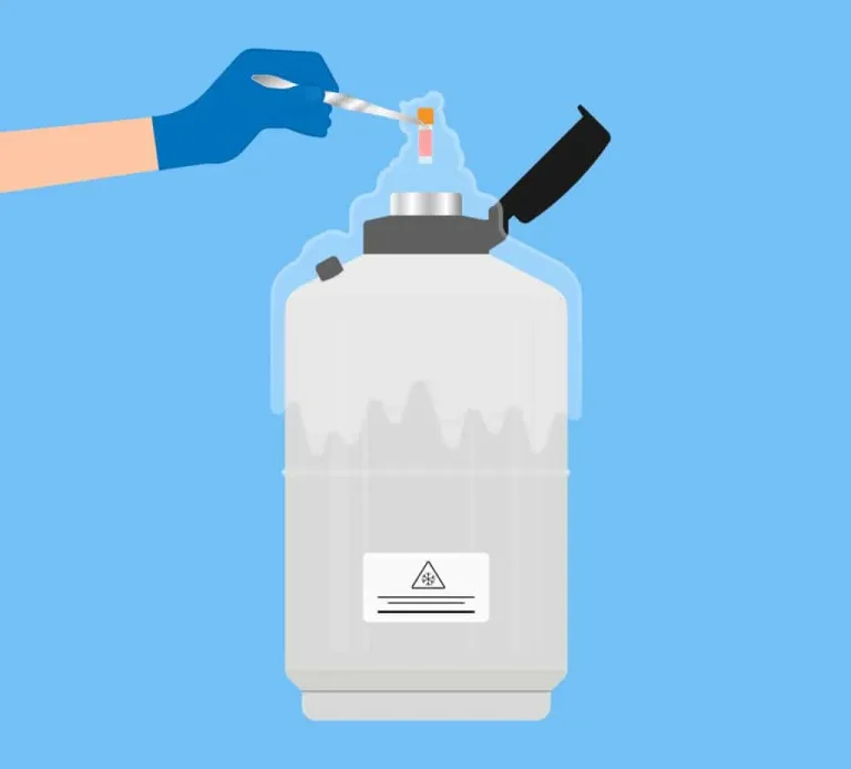 Egg freezing process with a sample being placed into cryogenic storage