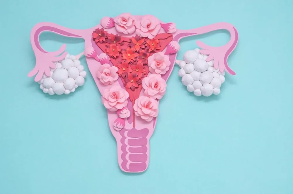 pcos symptoms illustration showing female reproductive system and ovaries affected by polycystic ovary syndrome