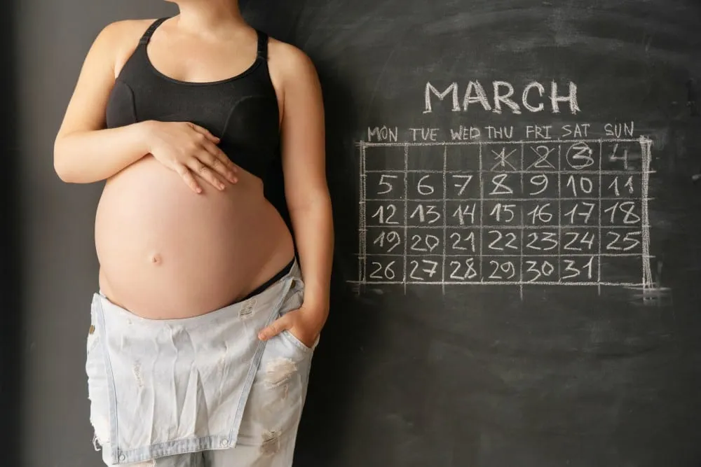 Baby due date calculator concept with pregnant woman next to calendar marking dates