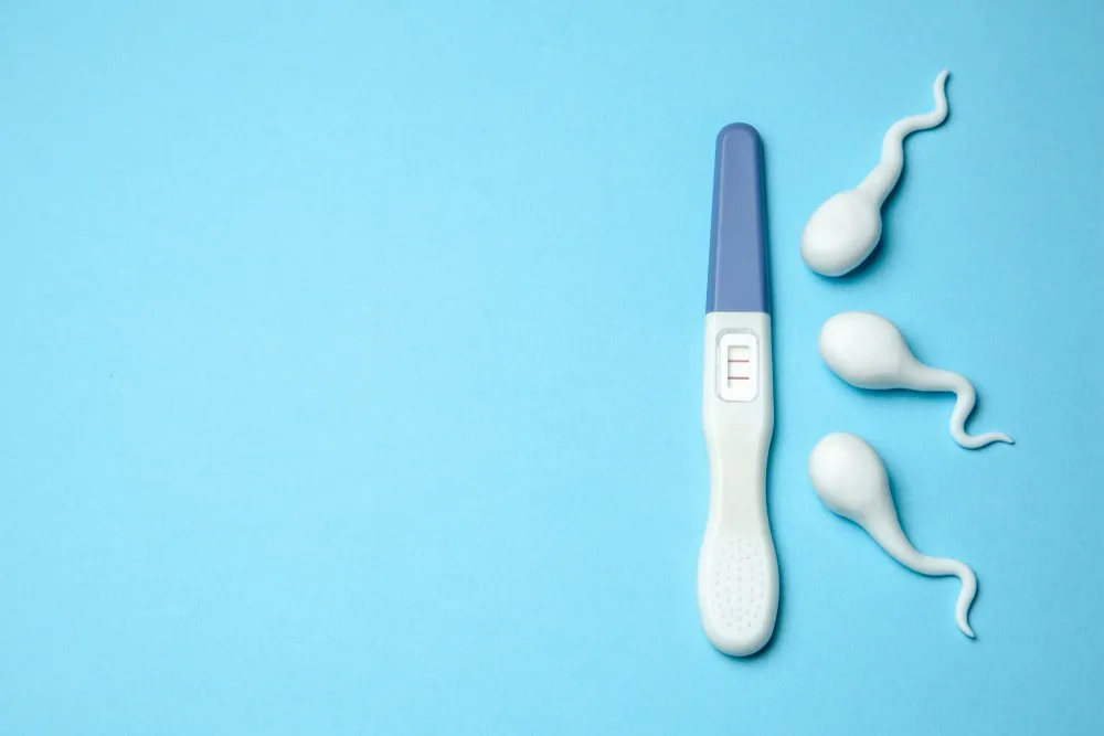 Pregnancy test with sperm icons representing sperm donation process